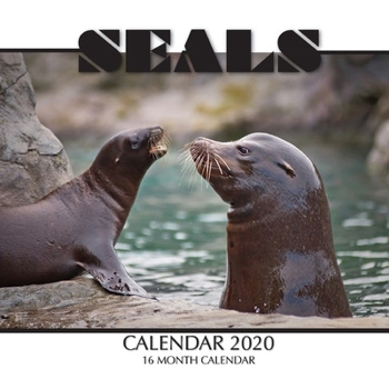 Seals Calendar 2020: 16 Month Calendar