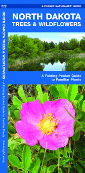 Paperback North Dakota Trees & Wildflowers: A Folding Pocket Guide to Familiar Plants Book