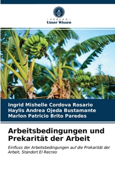 Paperback Arbeitsbedingungen und Prekarität der Arbeit [German] Book
