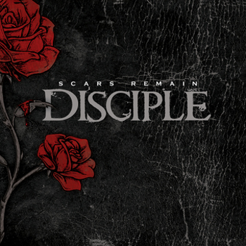 Scars Remain   Red Rose