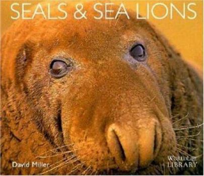 Paperback Seals and Sea Lions (World Life Library) Book