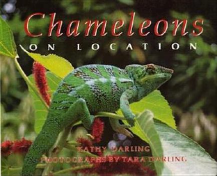 Hardcover Chameleons: On Location Book