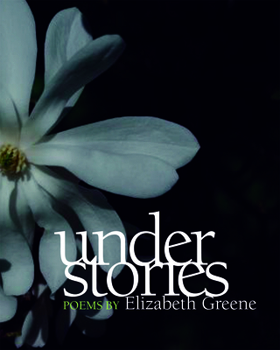 Paperback Understories Book