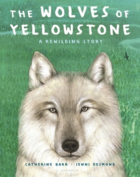 Hardcover The Wolves of Yellowstone: A Rewilding Story Book