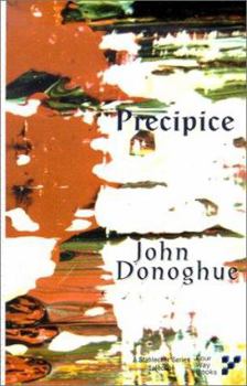 Paperback Precipice Book