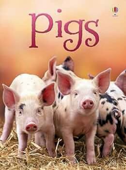 Pigs - Book  of the Usborne Beginners