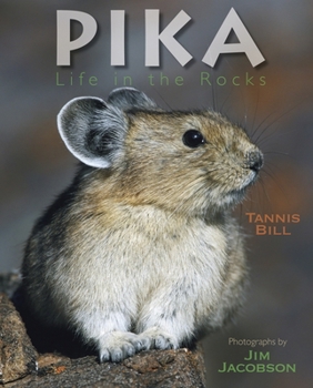 Hardcover Pika: Life in the Rocks Book