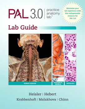 Spiral-bound Practice Anatomy Lab 3.1 Lab Guide Book