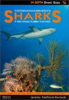 Paperback Sharks of Florida, The Bahamas, The Caribbean & The Gulf of Mexico Book