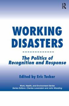 Paperback Working Disasters: The Politics of Recognition and Response Book