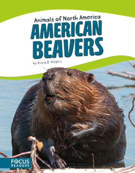 Paperback American Beavers Book