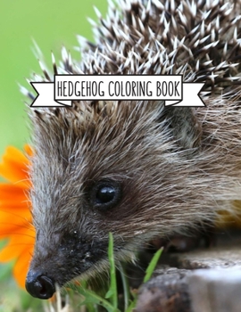 Hedgehog Coloring Book: Hedgehog Lover Gifts for Toddlers, Kids or Adult Relaxation Cute Stress Relief Animal Birthday Coloring Book Made in USA