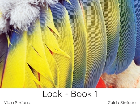 Paperback Look - Book 1 Book