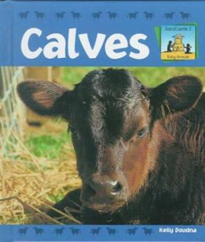 Calves (Baby Animals) - Book  of the Baby Animals