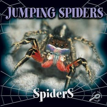 Paperback Jumping Spiders Book