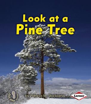 Look at a Pine Tree - Book  of the Look at Trees