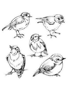 Paperback Sketchbook: Large Sketchbook, Hand Drawn Birds on Cover, 120 Pages, 8.5 by 11 Book