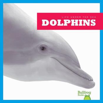 Dolphins - Book  of the Life Under the Sea