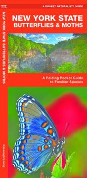 New York State Butterflies & Moths: A Folding Pocket Guide to Familiar Species
