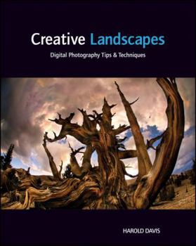 Paperback Creative Landscapes: Digital Photography Tips & Techniques Book