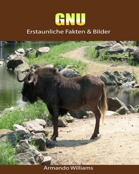 Paperback Gnu: Erstaunliche Fakten & Bilder [German] Book