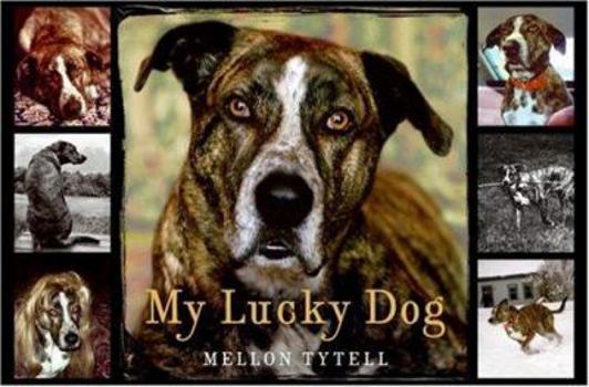 Hardcover My Lucky Dog Book