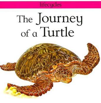 Paperback The Journey of a Turtle Book