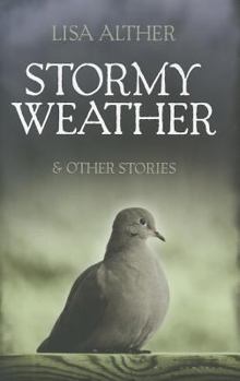 Hardcover Stormy Weather & Other Stories Book