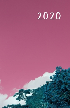 2020: Monthly and weekly all in one planner with calendar, schedule, assignments, 2021 future plans and more. Monday start week. Fits in purse. 8.5" x ... (Pink sky, white clouds. Soft matte cover).