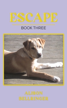 Paperback Escape Book