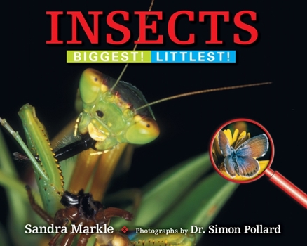 Paperback Insects: Biggest! Littlest! Book
