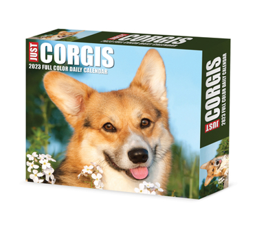 Calendar Corgis 2023 Box Calendar Book
