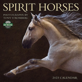 Calendar Spirit Horses 2023 Wall Calendar Book