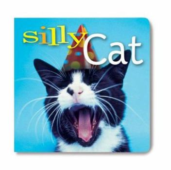 Board book Silly Cat: What's Your Secret? Book