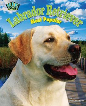 Library Binding Labrador Retriever: Most Popular Book
