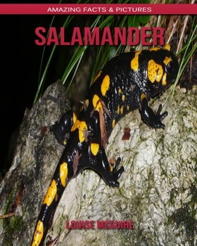 Salamander: Amazing Facts & Pictures