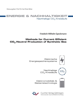 Paperback Methods for Current Efficient CO2-Neutral Production of Synthetic Gas Book