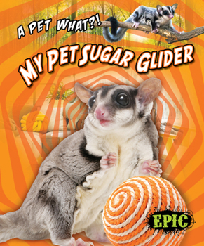 Library Binding My Pet Sugar Glider Book