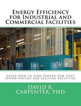 Paperback Energy Efficiency for Industrial and Commercial Facilities: Best Low Cost Opportunities for Existing Facilities Book