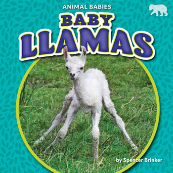 Library Binding Baby Llamas Book