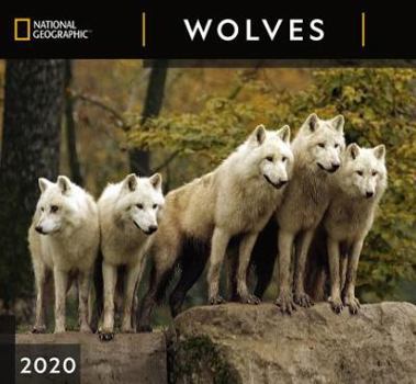 Calendar Cal 2020-National Geographic Wolves Wall Book