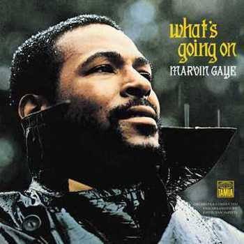 Vinyl What's Going On (Vinyl Reissue) Book