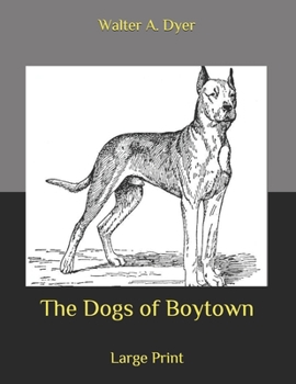 The Dogs of Boytown: Large Print