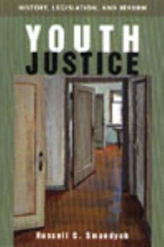 Paperback Youth justice: History, legislation, and reform Book