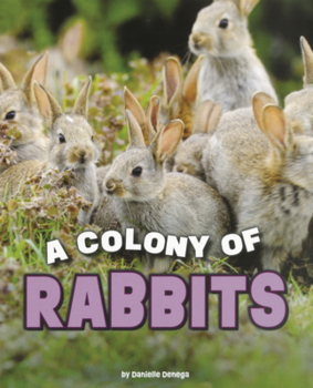Library Binding Colony of Rabbits Book
