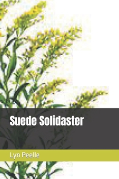 Paperback Suede Solidaster Book