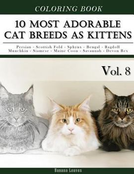 Paperback 10 Most Adorable Cat Breeds As Kittens-Animal Coloring Book included Persian - Scottish Fold - Sphynx - Bengal - Ragdoll - Munchkin - Siamese - Maine Book