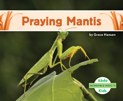 Library Binding Praying Mantis Book
