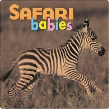 Board book Safari Babies Book