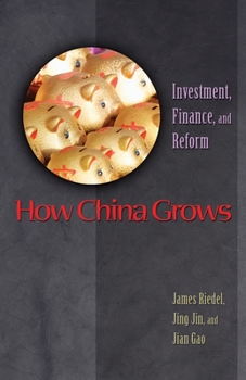 Paperback How China Grows: Investment, Finance, and Reform Book